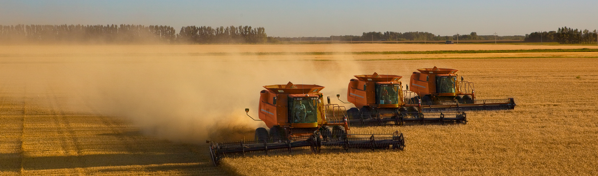 post image A Dry Season: Trends and Opportunities in Agriculture