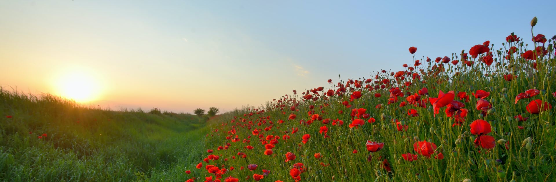 post image Lest We Forget