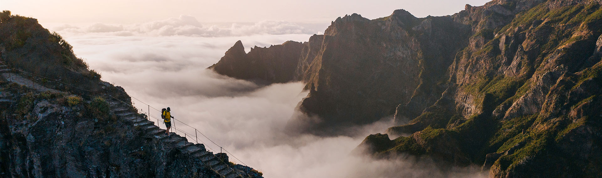 post image Scare Tactics: Navigating Through Market Uncertainty