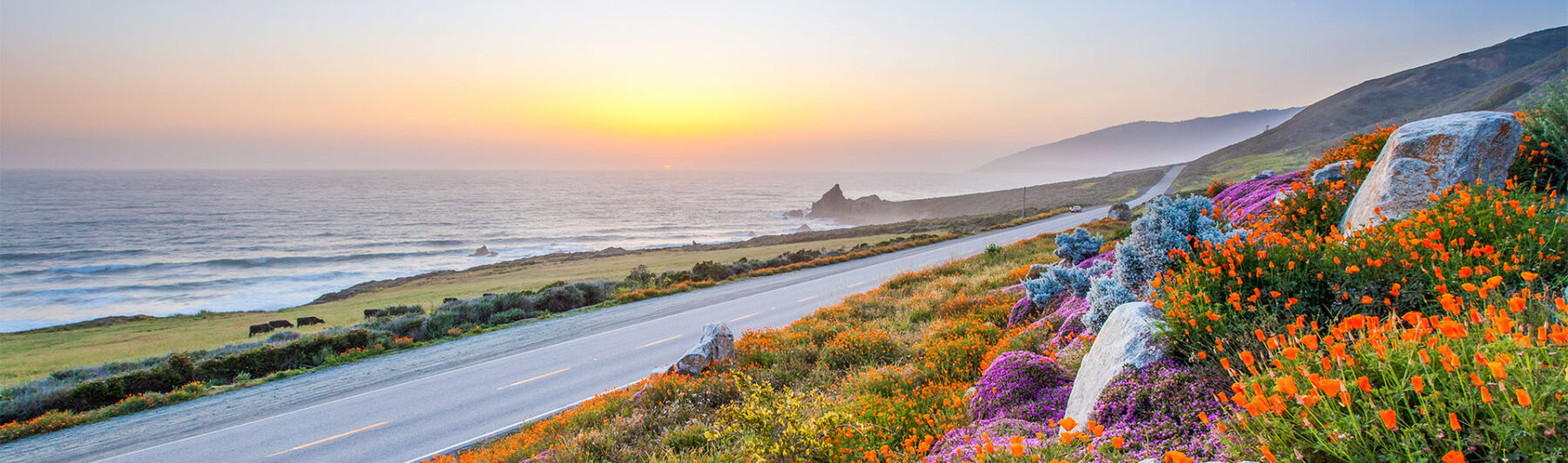 With or Without Exception?